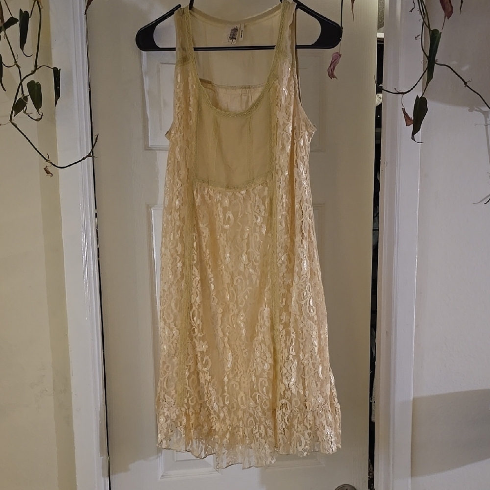 Elegant Lace Sleeveless Dress